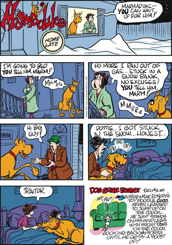 marmaduke